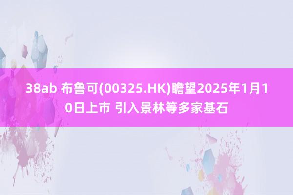 38ab 布鲁可(00325.HK)瞻望2025年1月10日上市 引入景林等多家基石