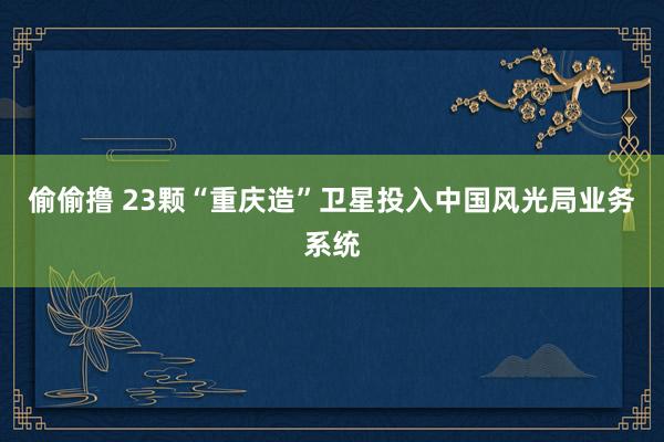 偷偷撸 23颗“重庆造”卫星投入中国风光局业务系统