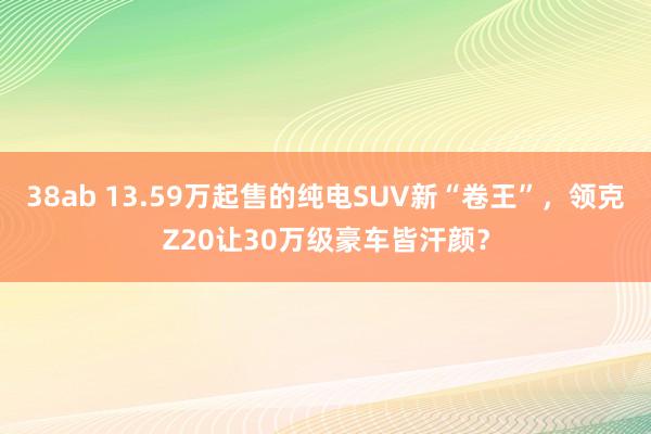 38ab 13.59万起售的纯电SUV新“卷王”，领克Z20让30万级豪车皆汗颜？