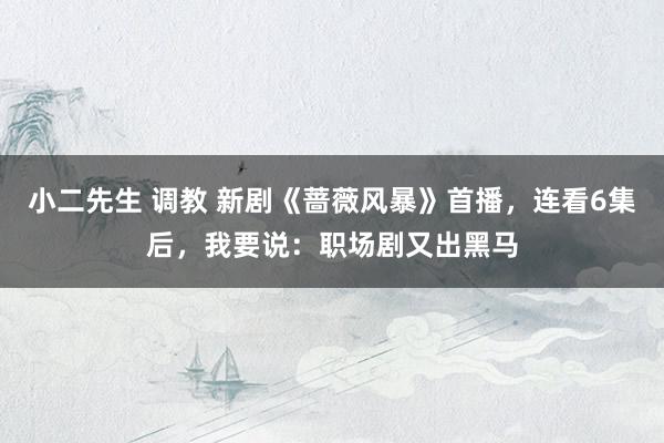 小二先生 调教 新剧《蔷薇风暴》首播，连看6集后，我要说：职场剧又出黑马