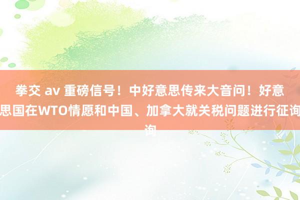 拳交 av 重磅信号！中好意思传来大音问！好意思国在WTO情愿和中国、加拿大就关税问题进行征询