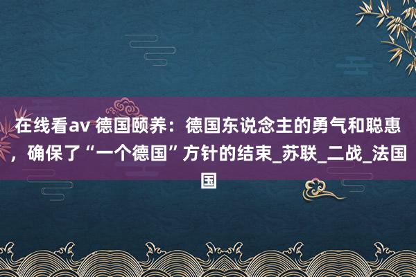 在线看av 德国颐养：德国东说念主的勇气和聪惠，确保了“一个德国”方针的结束_苏联_二战_法国