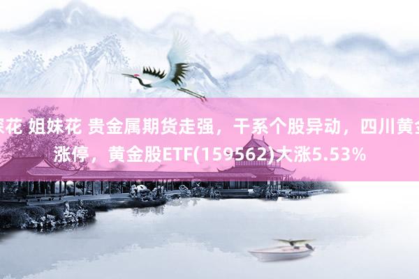 探花 姐妹花 贵金属期货走强，干系个股异动，四川黄金涨停，黄金股ETF(159562)大涨5.53%