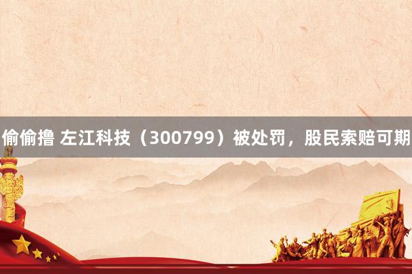 偷偷撸 左江科技（300799）被处罚，股民索赔可期
