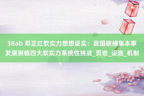 38ab 邓正红软实力想想证实：我国碳捕集本事发展濒临四大软实力系统性挑战_页岩_设施_机制