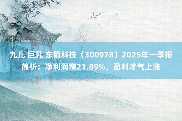 九儿 巨乳 东箭科技（300978）2025年一季报简析：净利润增21.89%，盈利才气上涨